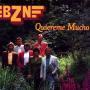 Coverafbeelding BZN - Quiereme Mucho