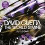 Coverafbeelding David Guetta feat. JD Davis - The World Is Mine