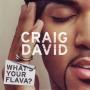 Coverafbeelding Craig David - What's Your Flava?