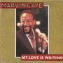 Coverafbeelding Marvin Gaye - My Love Is Waiting
