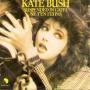 Coverafbeelding Kate Bush - Suspended In Gaffa