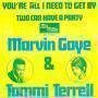 Coverafbeelding Marvin Gaye & Tammi Terrell - You're All I Need To Get By