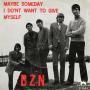 Coverafbeelding BZN - Maybe Someday