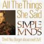 Coverafbeelding Simple Minds - All The Things She Said