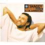Coverafbeelding Shaggy featuring Rayvon - In The Summertime