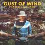 Coverafbeelding Pharrell Williams - Gust of wind