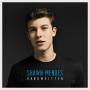 Coverafbeelding Shawn Mendes - Stitches