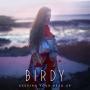 Coverafbeelding Birdy - Keeping your head up