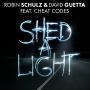 Coverafbeelding Robin Schulz & David Guetta feat. Cheat Codes - Shed a light