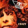 Coverafbeelding Aerosmith - Crazy