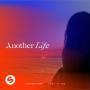 Coverafbeelding Lucas & Steve ft. Alida - Another Life