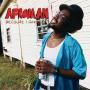 Coverafbeelding Afroman - Because I Got High