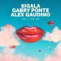 Coverafbeelding Sigala, Gabry Ponte & Alex Gaudino - Rely On Me