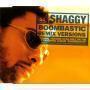 Coverafbeelding Shaggy - Boombastic - Remix Versions