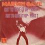 Coverafbeelding Marvin Gaye - Got To Give It Up