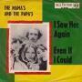 Coverafbeelding The Mamas & The Papas - I Saw Her Again