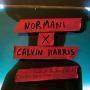 Coverafbeelding Normani x Calvin Harris featuring Wizkid - Checklist