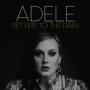 Coverafbeelding Adele - Set fire to the rain