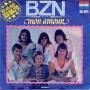 Trackinfo BZN - Mon Amour