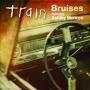Coverafbeelding train featuring ashley monroe - bruises