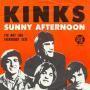 Trackinfo Kinks - Sunny Afternoon