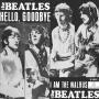 Coverafbeelding The Beatles - Hello, Goodbye