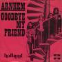 Coverafbeelding Arnhem - Goodbye My Friend