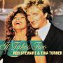 Coverafbeelding Rod Stewart & Tina Turner - It Takes Two