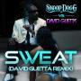 Coverafbeelding Snoop Dogg vs David Guetta - Sweat (David Guetta Remix)