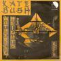 Coverafbeelding Kate Bush - Wuthering Heights