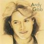 Coverafbeelding Andy Gibb - (Our Love) Don't Throw It All Away