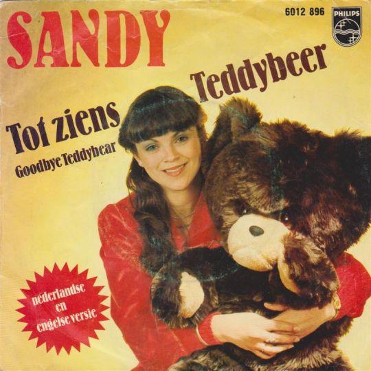 Coverafbeelding Tot Ziens Teddybeer - Sandy