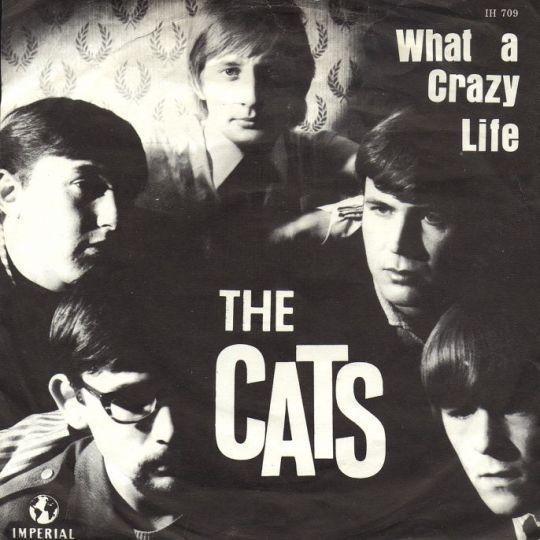 Coverafbeelding The Cats - What A Crazy Life