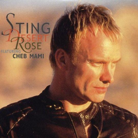 Coverafbeelding Desert Rose - Sting Featuring Cheb Mami
