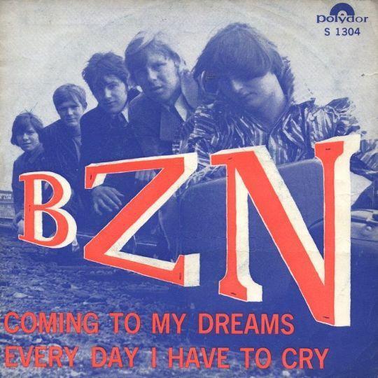 Coverafbeelding BZN - Every Day I Have To Cry