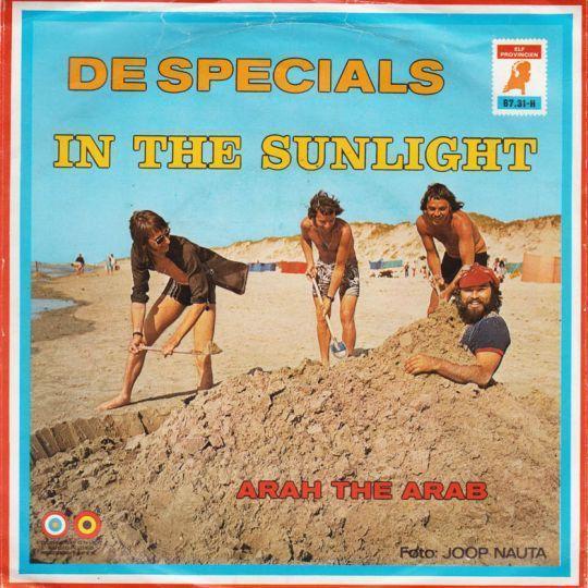 Coverafbeelding In The Sunlight - De Specials ((Nld))