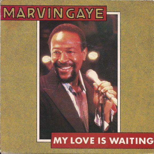 Coverafbeelding My Love Is Waiting - Marvin Gaye