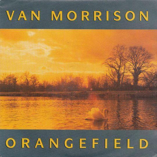 Coverafbeelding Van Morrison - Orangefield
