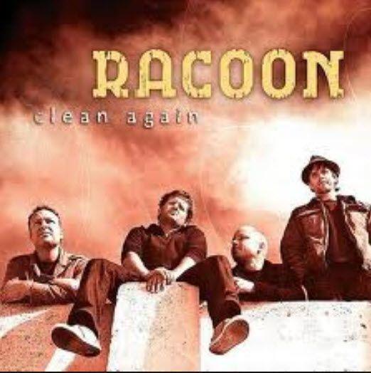 Coverafbeelding Clean Again - Racoon