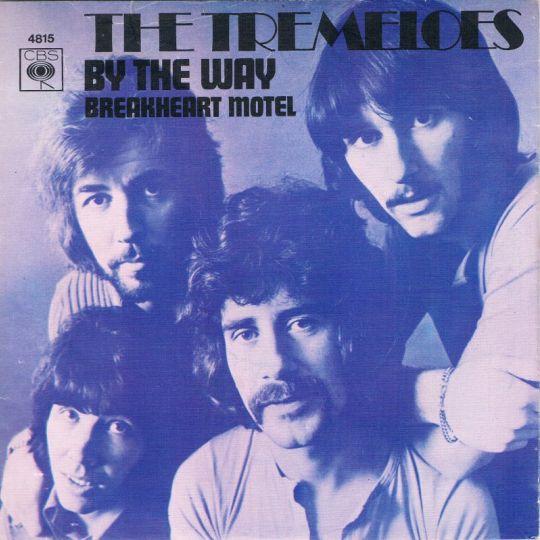Coverafbeelding By The Way - The Tremeloes