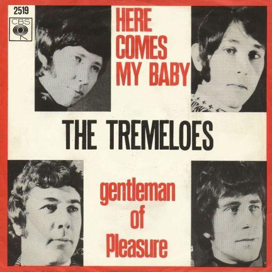 Coverafbeelding Here Comes My Baby - The Tremeloes