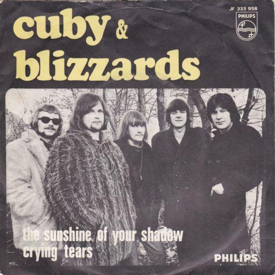 Coverafbeelding The Sunshine Of Your Shadow - Cuby & Blizzards