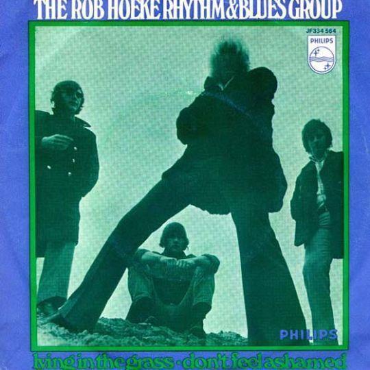 Coverafbeelding The Rob Hoeke Rhythm & Blues Group - Lying In the Grass