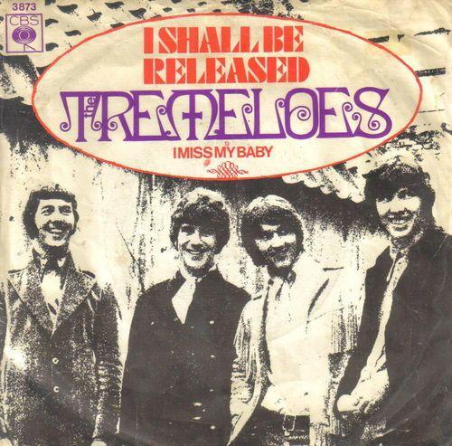 Coverafbeelding I Shall Be Released - The Tremeloes