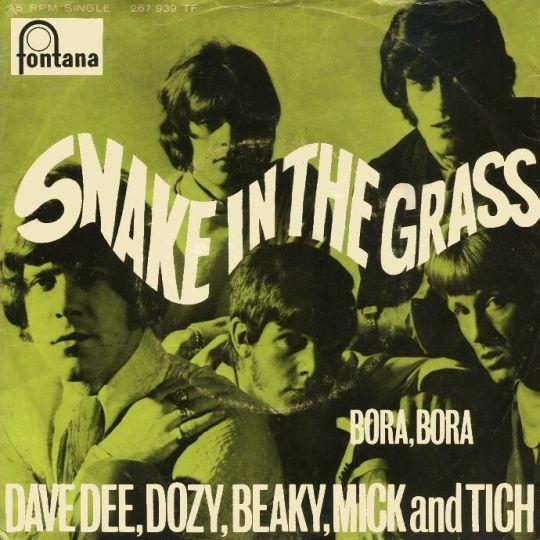 Coverafbeelding Snake In The Grass - Dave Dee, Dozy, Beaky, Mick And Tich