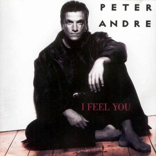 Coverafbeelding I Feel You - Peter Andre
