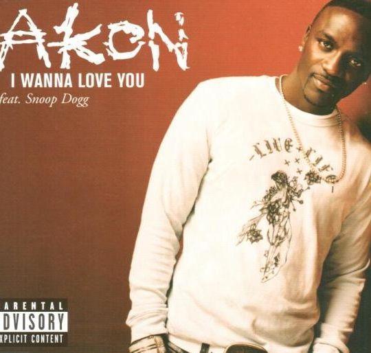 Coverafbeelding I Wanna Love You - Akon Feat. Snoop Dogg