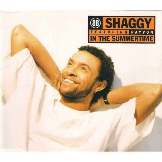 Coverafbeelding In The Summertime - Shaggy Featuring Rayvon