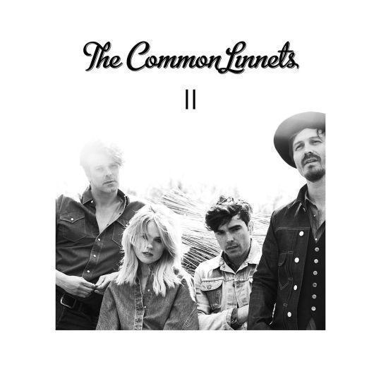 Coverafbeelding Hearts On Fire - The Common Linnets