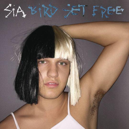 Coverafbeelding Sia - Bird set free